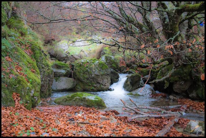 La Posada De Cucayo Dobres Exteriér fotografie